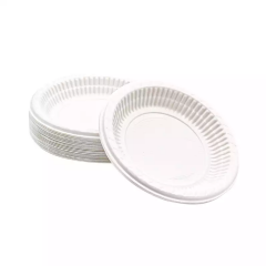 PLASTİK TABAK 17 CM