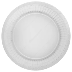 PLASTİK TABAK 21CM 100LÜ