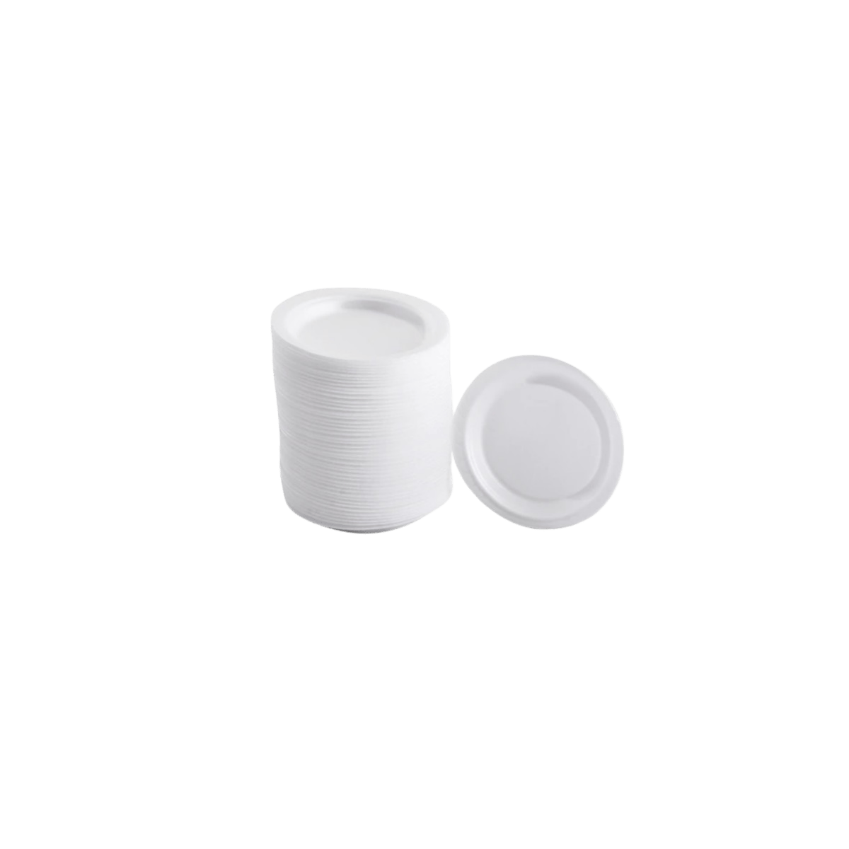 PLASTİK TABAK 100 LÜ