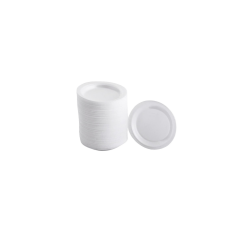 PLASTİK TABAK 100 LÜ