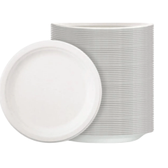 PLASTİK TABAK 100 LÜ